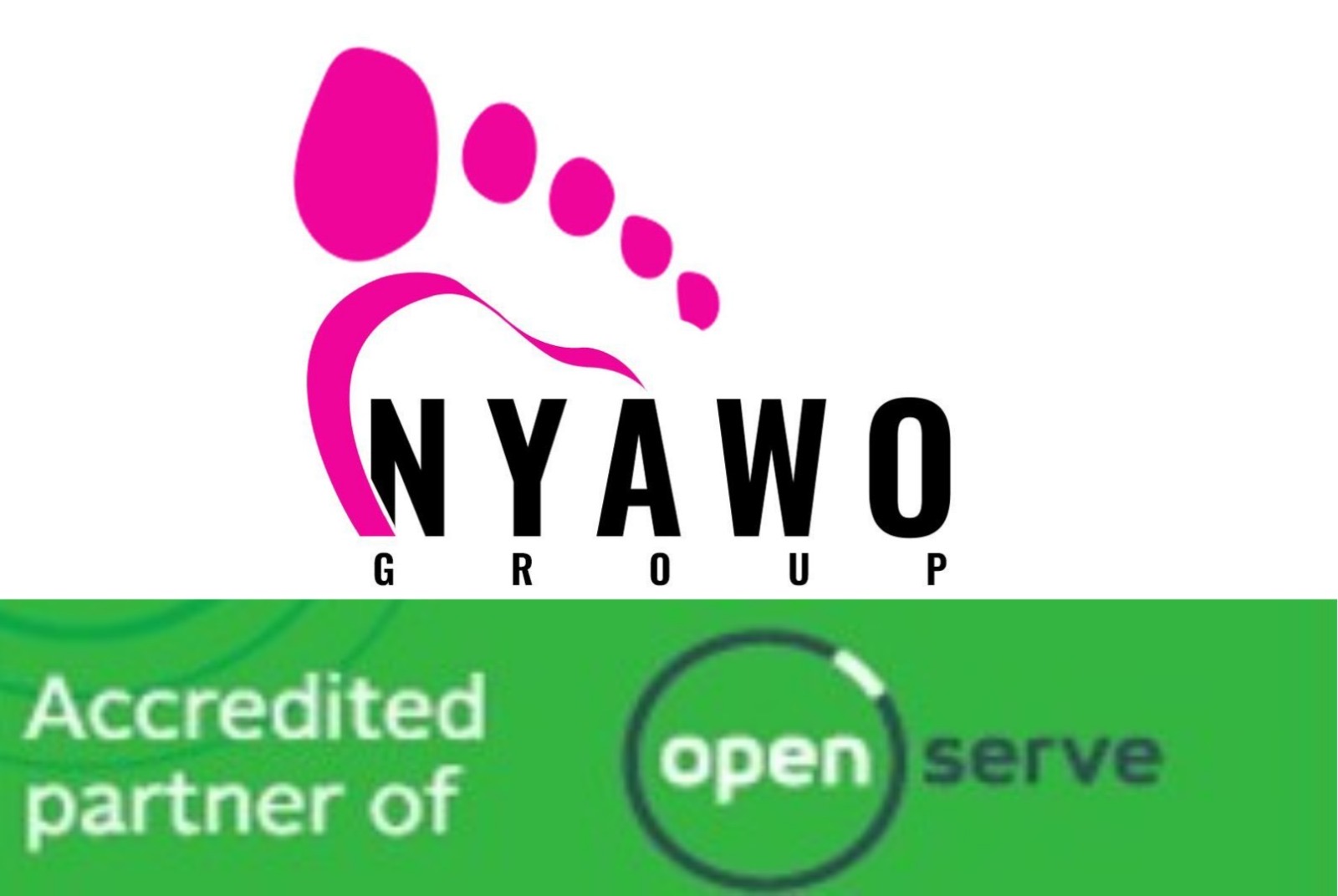 Openserve